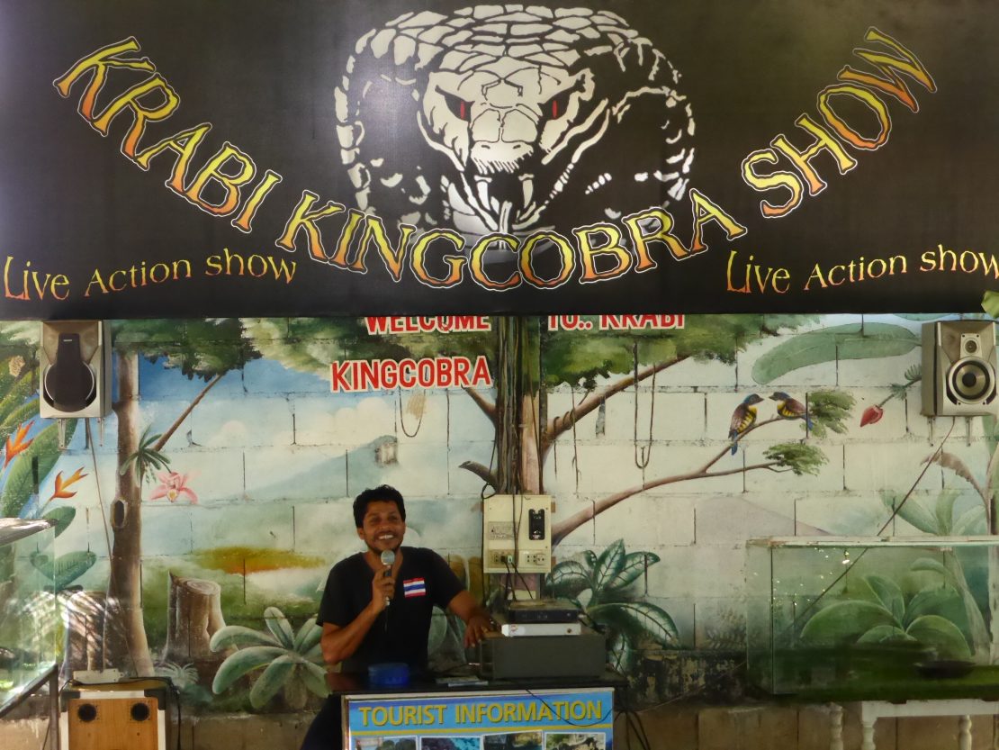 Krabi King Cobra Show