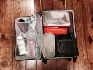packing cubes for long term travel