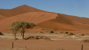 Big Daddy dune Namibia