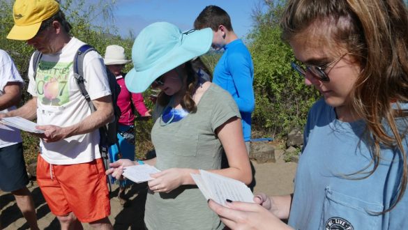 Reading postcards from Galapagos addressed to people around the world