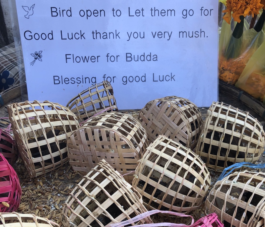 Birds held captive in tiny baskets waiting to be released